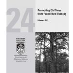 Protecting Old Trees from Prescribed Burning