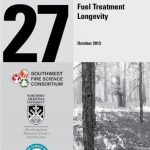 Fuel Treatment Longevity