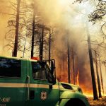 January 10, 2018: The Wildfire Within: Firefighter perspectives on gender and leadership in wildland fire