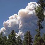 August 29, 2018: The full community costs of wildfire