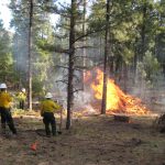 November 28, 2018: Burning piles- effects of pile age, moisture, mass, and composition on fire effects, consumption, decomposition