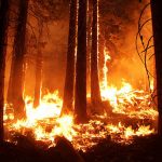 May 22, 2019: Do trends in climate influence the increase in high-severity wildfire in the southwestern US from 1984 to 2015?