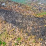 Oct 16, 2019: Contributions of fire refugia to resilient ponderosa pine and dry mixed-conifer forest landscapes