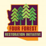 Oct 23, 2019: Large-scale forest restoration stabilizes carbon under climate change