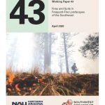 Fire and Soils in Frequent-Fire Landscapes of the Southwest