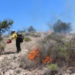 COVID-19 and Wildfire Lessons Learned