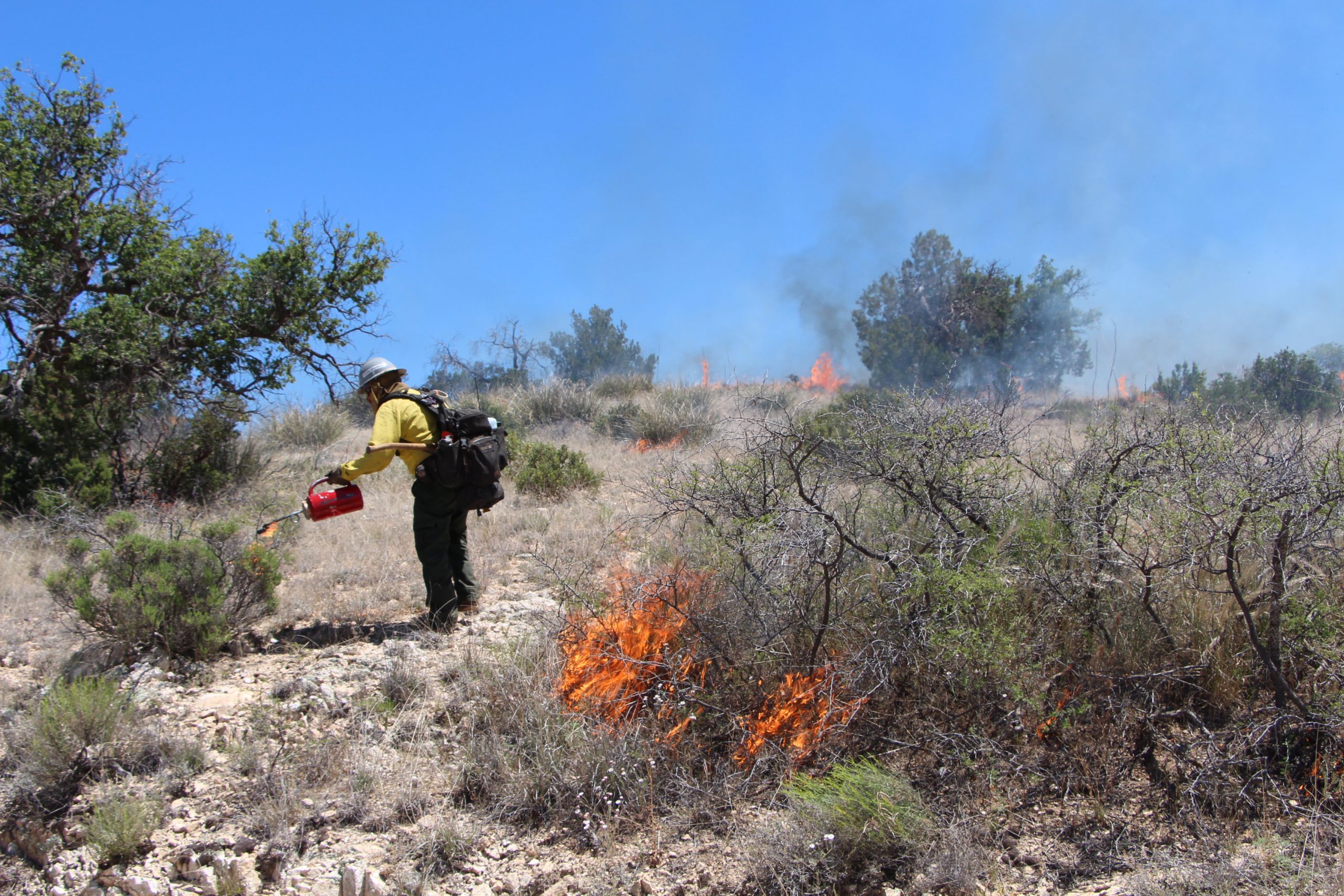 Wildland Fire Lessons Learned Center