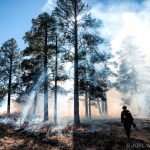 Fire Science and Management in an Uncertain Future