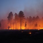 Policy Change & Wildland Fire Management