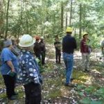 Group of people wearing hard hats standing in a green forest.