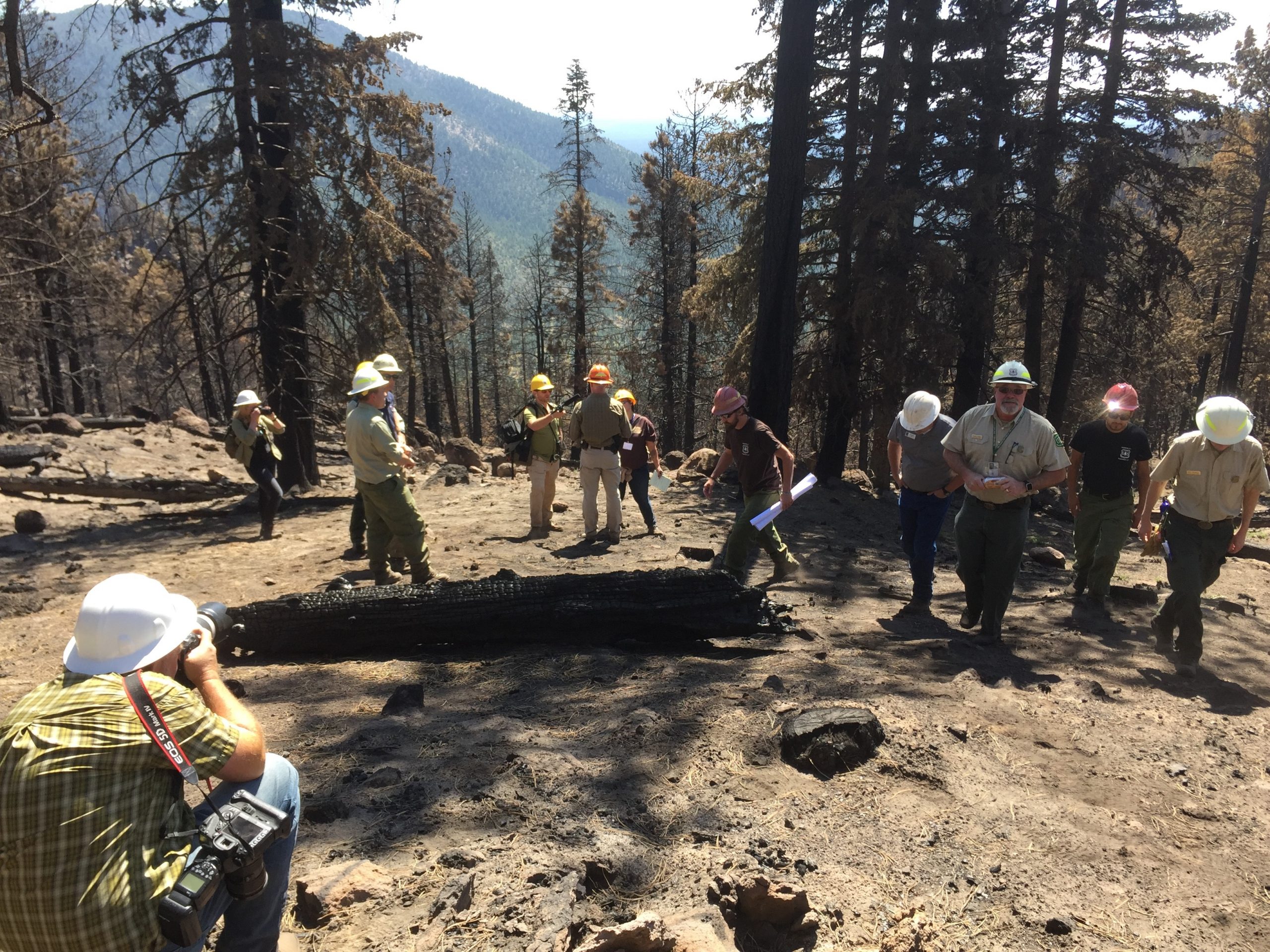 A group of people in shiny hard hats gather in a burnt forest to discuss in small groups, take photos, and read the landscape.