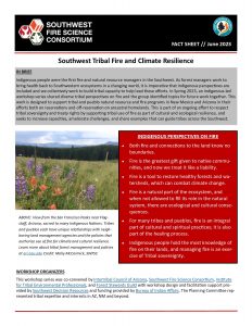 IN BRIEF Indigenous people were the first fire and natural resource managers in the Southwest. As forest managers work to bring health back to Southwestern ecosystems in a changing world, it is imperative that Indigenous perspectives are included and we collectively work to build tribal capacity to help lead these efforts. In Spring 2023, an Indigenous-led workshop series shared diverse tribal perspectives on fire and the group identified topics for future work together. This work is designed to support tribal and pueblo natural resource and fire programs in New Mexico and Arizona in their efforts both on reservations and off-reservation on ancestral homelands. This is part of an ongoing effort to respect tribal sovereignty and treaty rights by supporting tribal use of fire as part of cultural and ecological resilience, and seeks to increase capacities, ameliorate challenges, and share examples that can guide tribes across the Southwest.