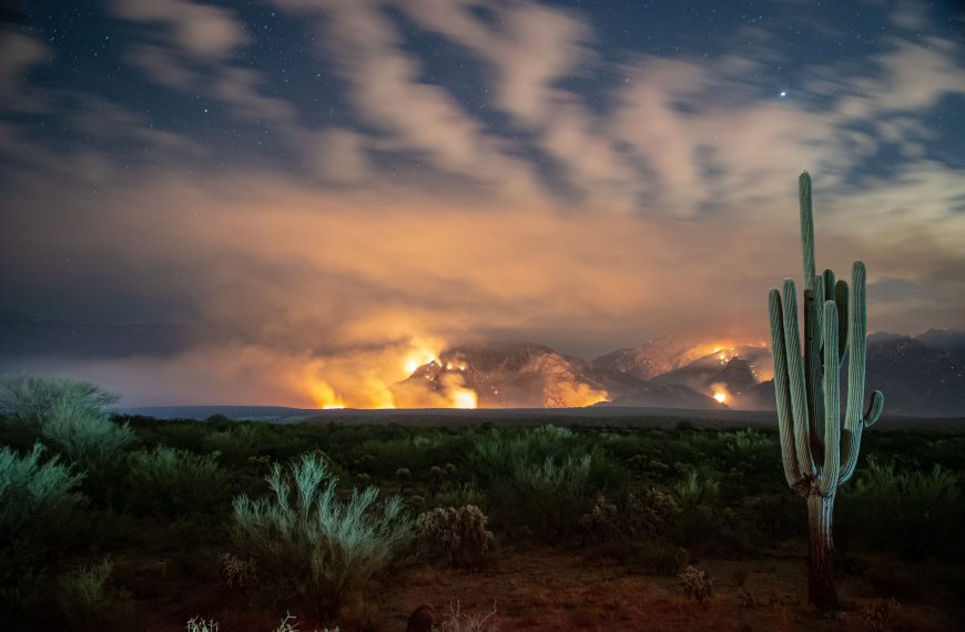 Fire in the Sonoran Desert