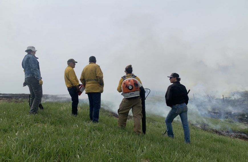 Group of people look into a cloud of smoke