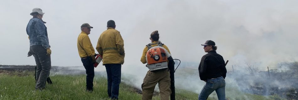 Group of people look into a cloud of smoke