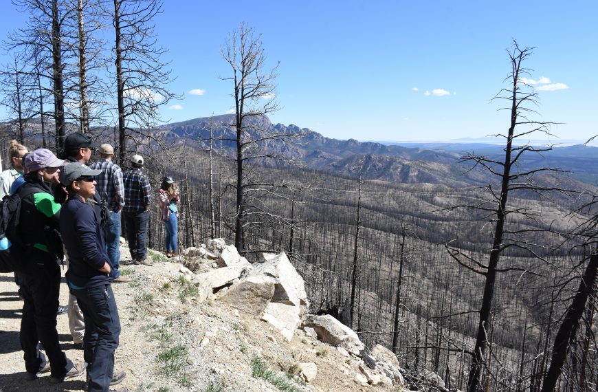 A group of people stands at a lookout point gazing into the fire footprint. They see many burned trees and the vegetation greening up.