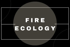 Fire Ecology (1)