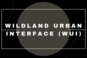 Wildland-Urban Interface (WUI) (1)