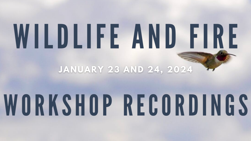 Text: Wildlife and Fire Workshop Recordings Cover over image of a hummingbird