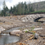 Post-Wildfire Recovery Through The Principles of Engineering with Nature