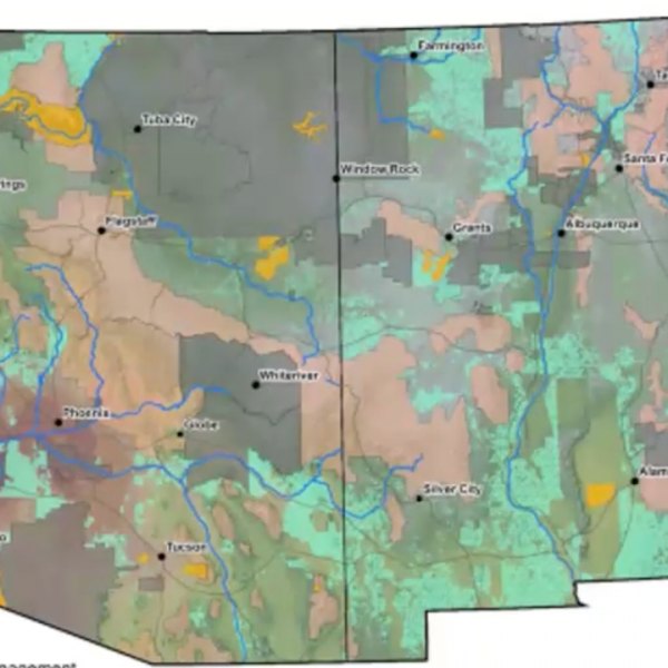 A Primer on Tribal Forest Protection Act and 638 Authority