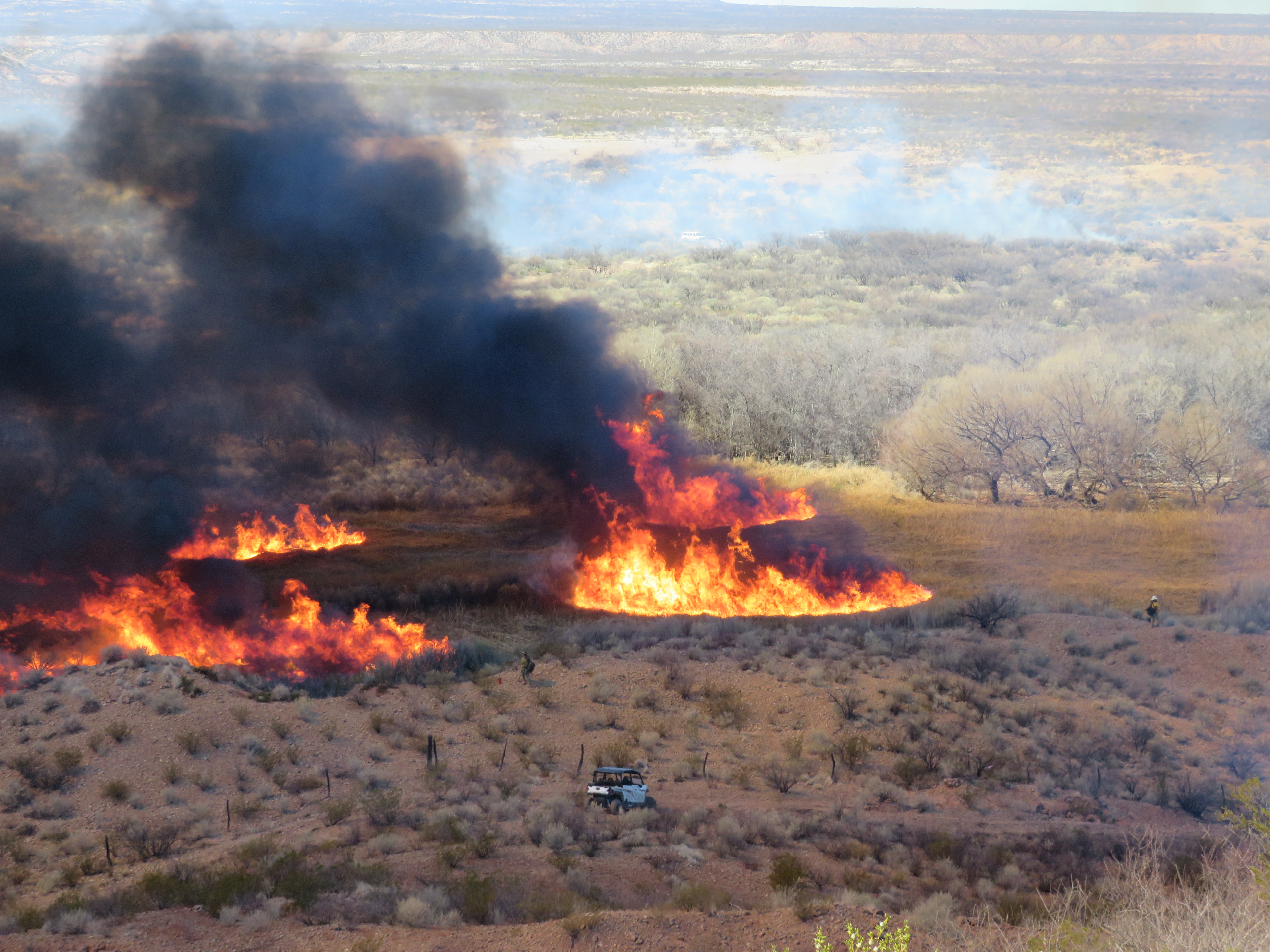 A Synthesis of the Best Available Science on Wildland Fire Related Topics in the Southwestern US in 2023