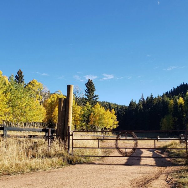 Building Ecosystem Resilience & Adaptive Capacity: Aspen Ecology and Management in the Southwest