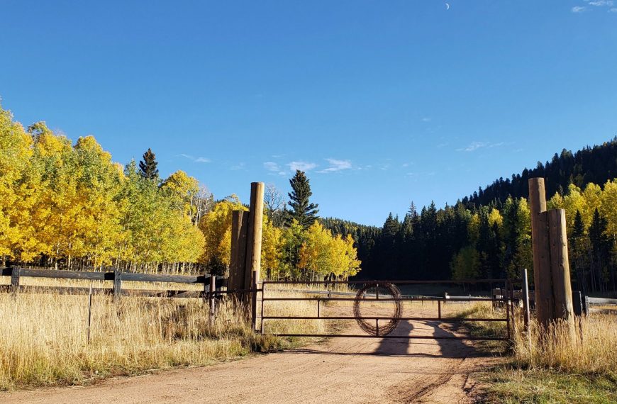 Building Ecosystem Resilience & Adaptive Capacity: Aspen Ecology and Management in the Southwest