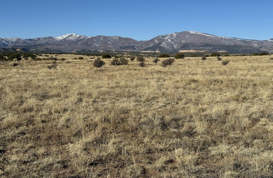 Jemez Mountains from Santa Clara Pueblo. Photo by Molly McCormick.