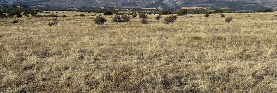 Jemez Mountains from Santa Clara Pueblo. Photo by Molly McCormick.