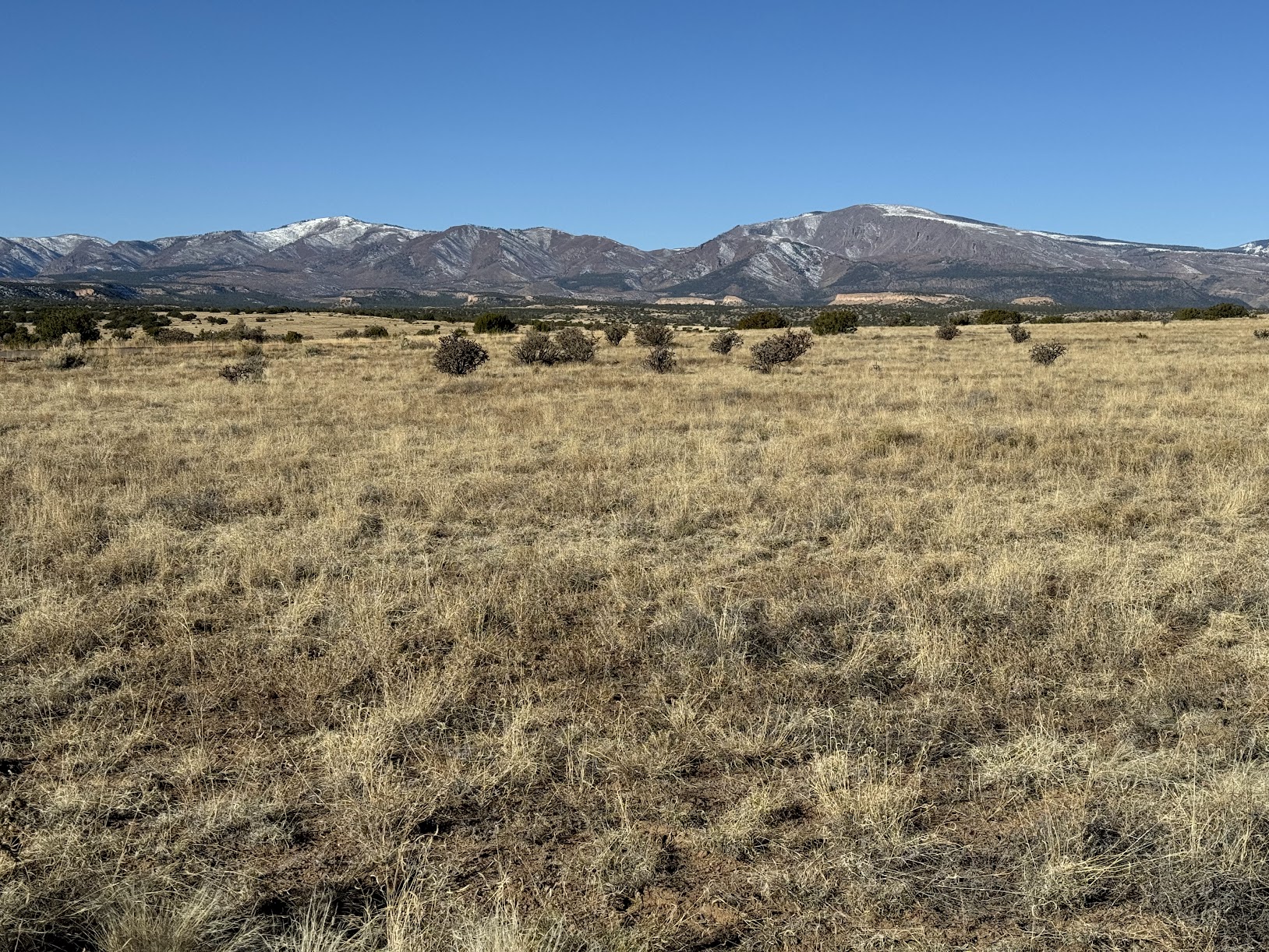 Jemez Mountains from Santa Clara Pueblo. Photo by Molly McCormick.