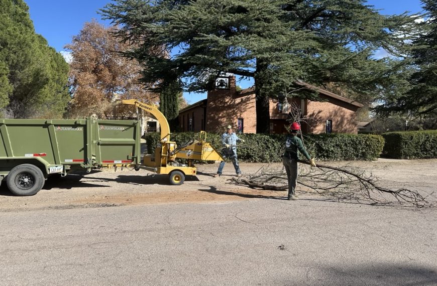 How to Organize A Community Chipper Day