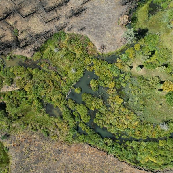 Pre- and Post-Fire Impacts of Beaver Dams and Beaver Dam Analogs